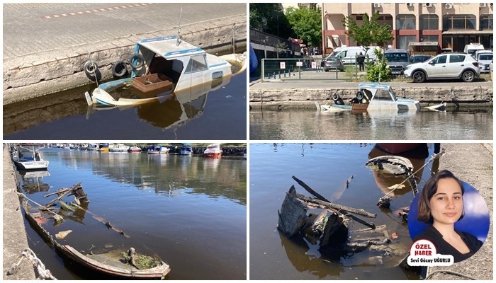 ÖKSÜZ SARIÇAY’IN ÖKSÜZ TEKNELERİ