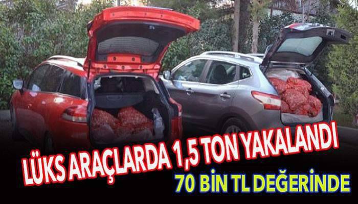 Yurt dışına kaçıracaklardı