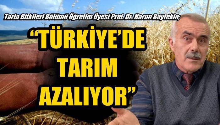 Tarla Bitkileri Bölümü Öğretim Üyesi Prof. Dr. Harun Baytekin; 'TÜRKİYE’DE TARIM AZALIYOR'