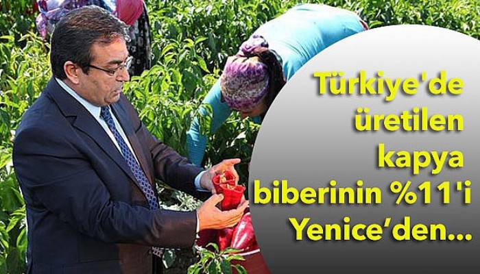 “Ulusal piyasada söz sahibi olacağız”