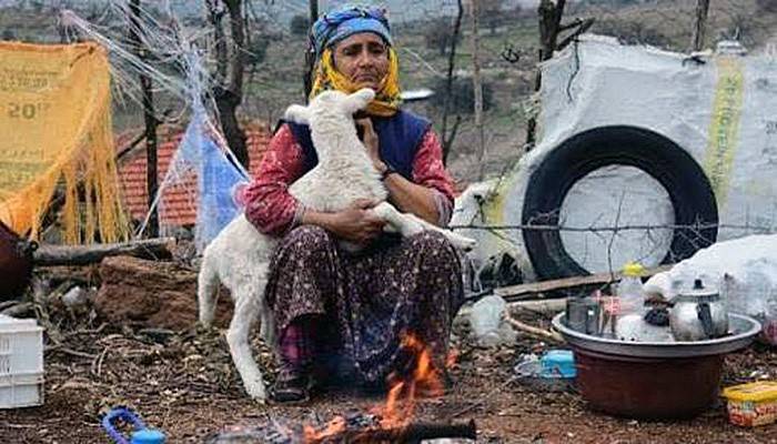 Depremzede yetiştiricilere destek