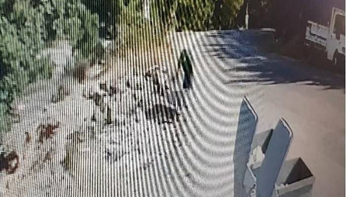Çanakkale'de Kilit Taşı Çalan 6 Kişi Yakalandı