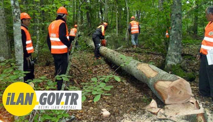 YENİCE ORMAN İŞLETME MÜDÜRLÜĞÜ, ORMAN EMVALİ MESAHA, TASNİF VE VERİM YÜZDESİ TESPİTİ İÇİN İHALEYE ÇIKTI