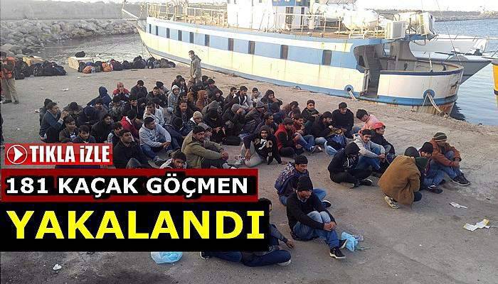 Çanakkale’de 181 kaçak göçmen yakalandı