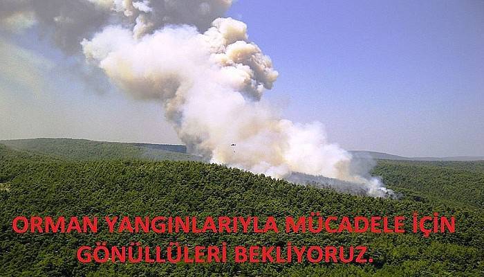 Çanakkale gönüllü orman yangıncılarını arıyor