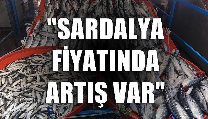 'Sardalya fiyatında artış var'