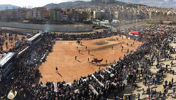 Biga deve güreşlerine hazırlanıyor