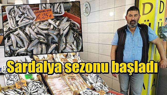 Sardalya sezonu başladı