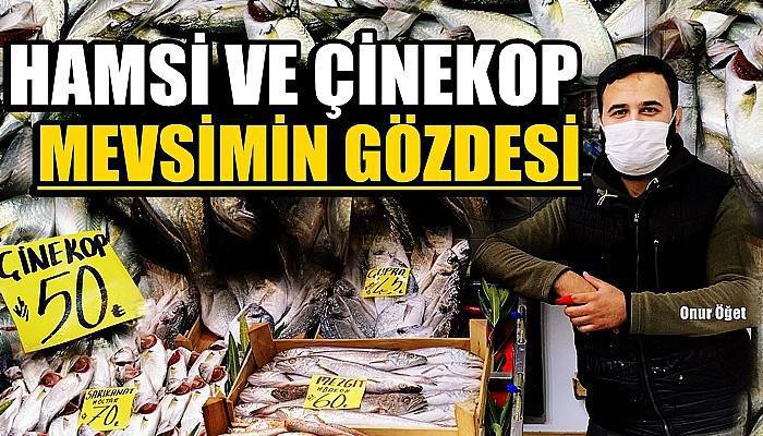 Mevsimin gözdesi hamsi ve çinekop