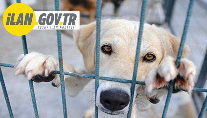HASTA BAKIM-KARANTİNA PADOKLARI ve ÇEVRE DÜZENLEMESİ YAPTIRILACAK