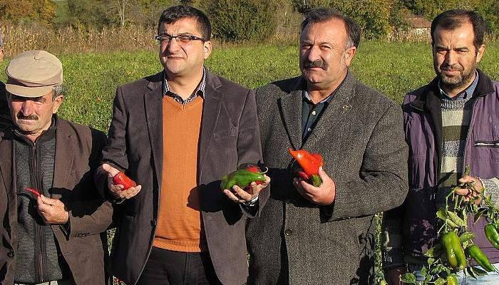 CHP milletvekili Öz, Kapya biber üreticileriyle görüştü