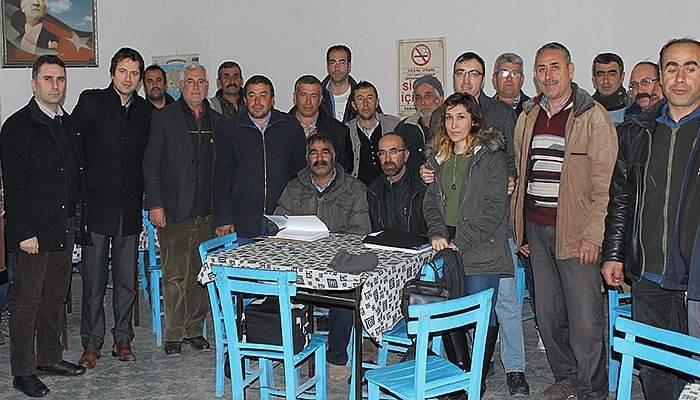 Zeytin budamayı öğrendiler