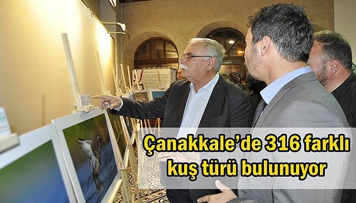 Çanakkale’de 316 farklı kuş türü bulunuyor
