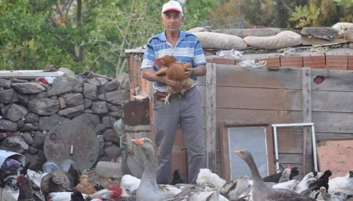 Hobisi “Kanat”landı
