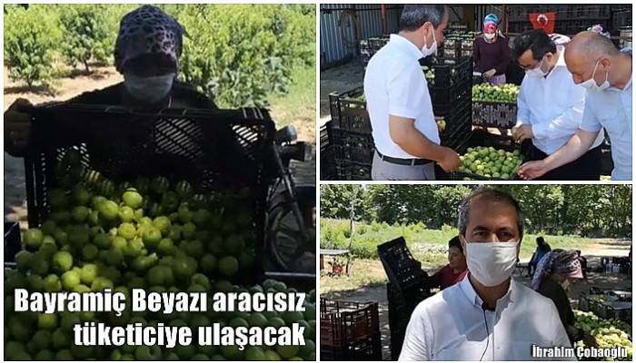 Bayramiç Beyazı aracısız tüketiciye ulaşacak