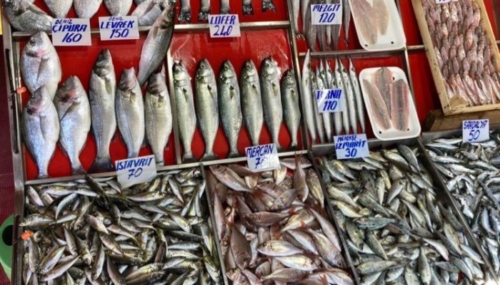 Balık Fiyatları Arttı!