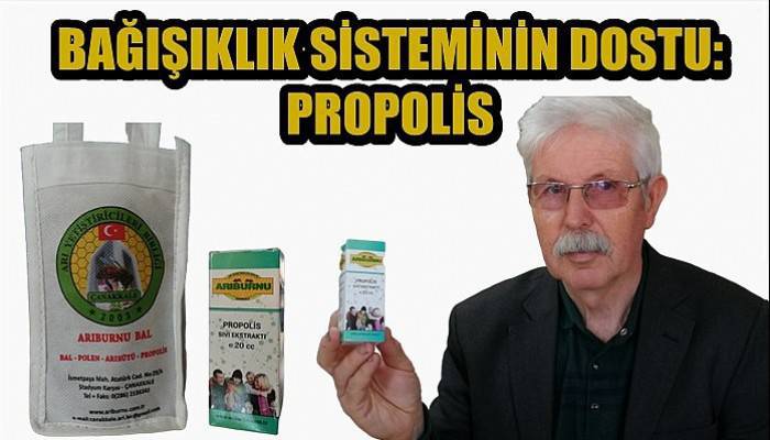 Bağışıklık sisteminin dostu: Propolis