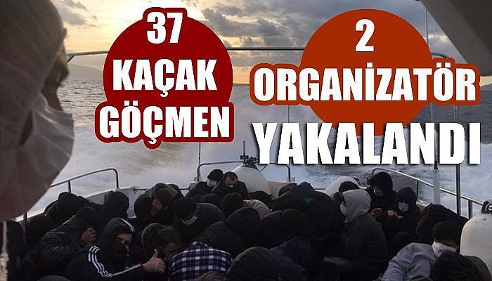 Ayvacık açıklarında yelkenli teknede 37 kaçak göçmen ile 2 organizatör yakalandı