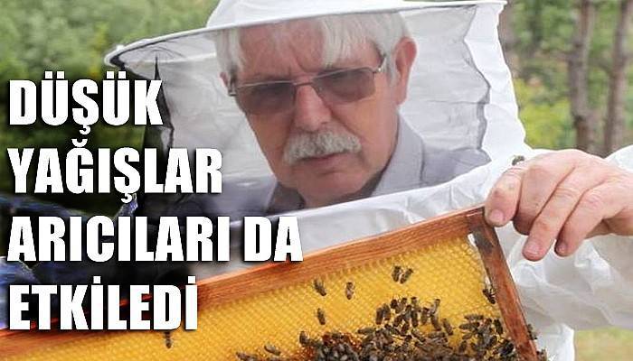 Düşük yağışlar arıcıları da etkiledi