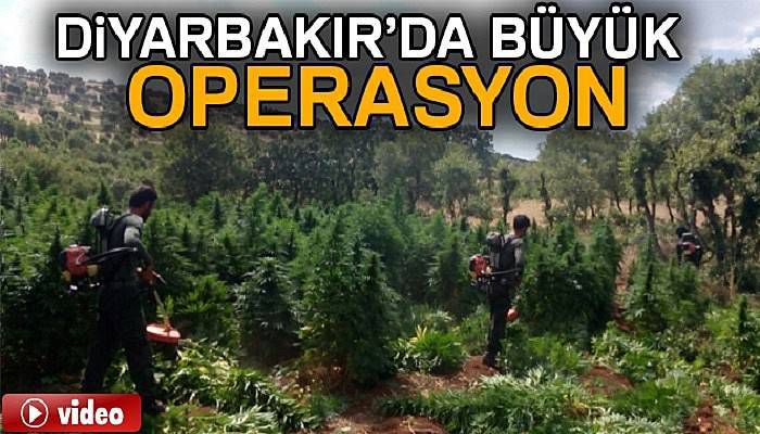Diyarbakır kırsalında büyük operasyon sürüyor