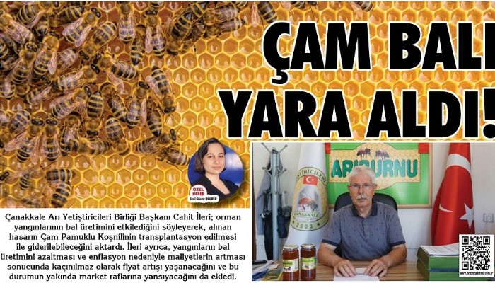 YÜZDE 92’Sİ TÜRKİYE’DE ÜRETİLEN ÇAM BALI YARA ALDI (VİDEO)