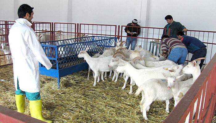 Savaş’tan destek çağrısı