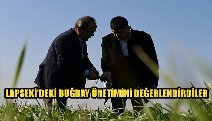 Lapseki’deki buğday üretimini değerlendirdiler