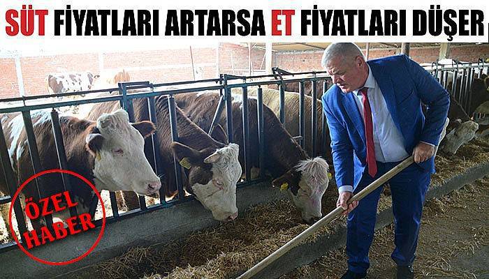Ucuz et için süt fiyatları artmalı!
