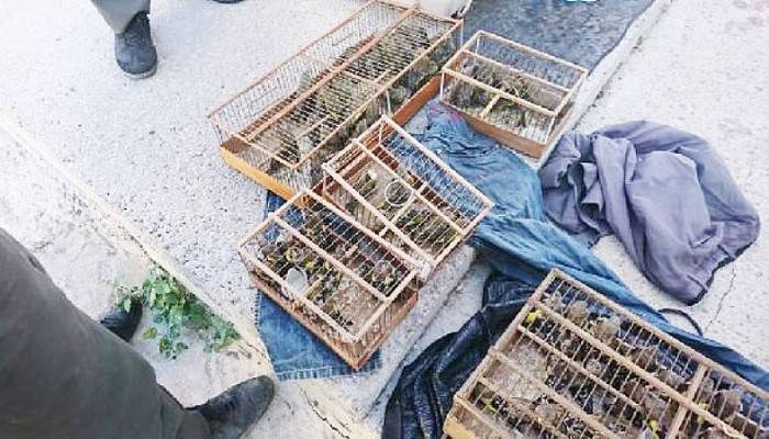 Koruma Altındaki Kuşları Yakalayana 132 Bin 416 TL Ceza