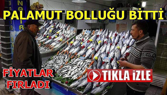 Çanakkale'de fiyatlar fırladı! (TIKLA İZLE)