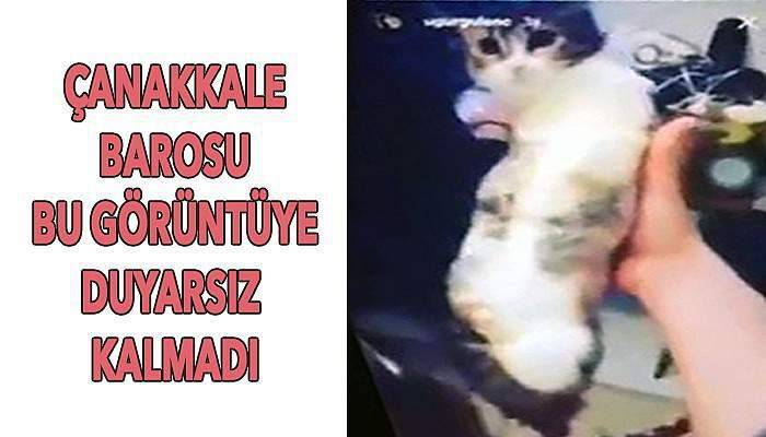 Yapanlar hakkında suç duyurusu