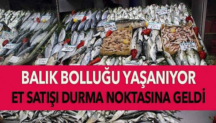 Balık bolluğu et satışlarını durma noktasına getirdi