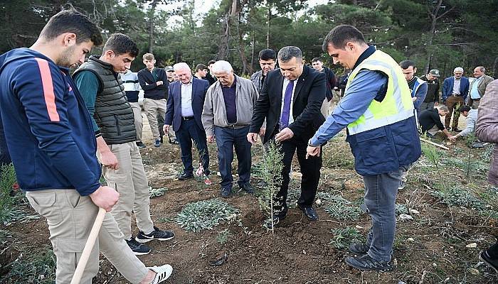 Lapseki’de 25 bin fidan dikildi
