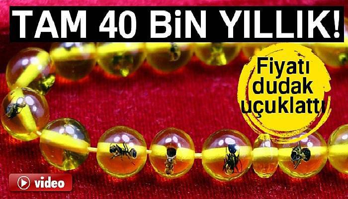 40 bin yıllık karınca fosilli tespih: Fiyatı 7 bin dolar