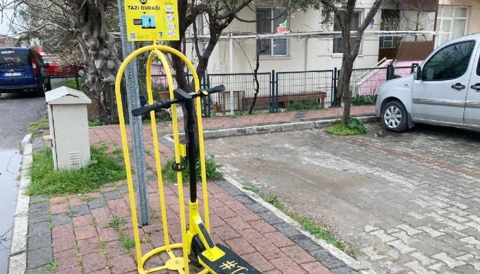 Tazı hem beğeniliyor hem eleştiriliyor !