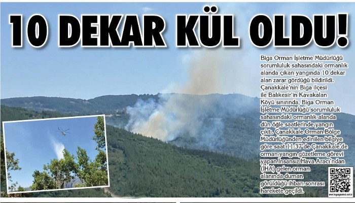 10 dekar kül oldu!