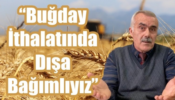 'Buğday İthalatında Dışa Bağımlıyız'