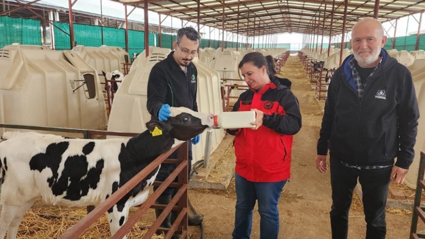 İl Müdürü Nazan Türkarslan Hayvan Çiftliğini Ziyaret Etti