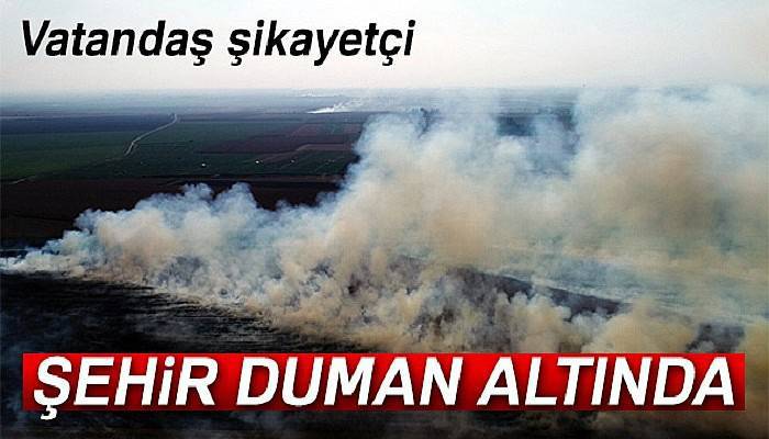Anız yangınları Adana'yı boğuyor