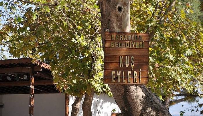 Karabiga Belediyesi ağaçlara kuş evleri koydu
