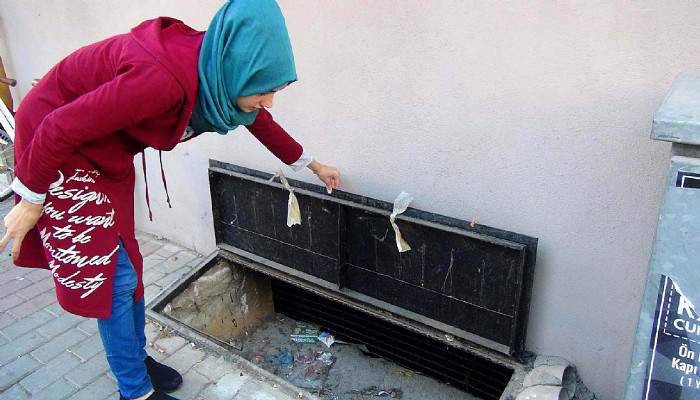 Mahsur kalan kediyi önce kurtardı, sonra sahiplendi