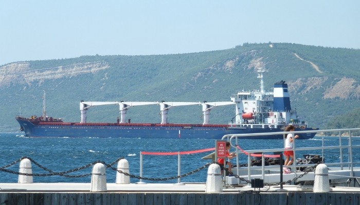 Tahıl gemisi Çanakkale Boğazı'ndan Geçti
