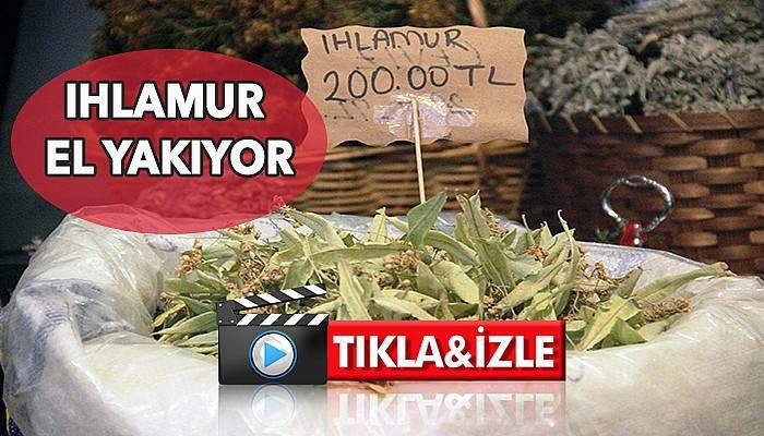 Çanakkale'de kilosu 200 lirayı buldu