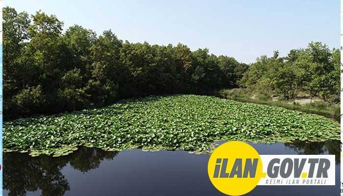 ÇEVRE DÜZENLEMESİ VE AHŞAP YÜRÜYÜŞ YOLU YAPTIRILACAK