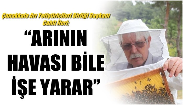 Çanakkale Arı Yetiştiricileri Birliği Başkanı Cahit İleri: 'ARININ HAVASI BİLE İŞE YARAR'