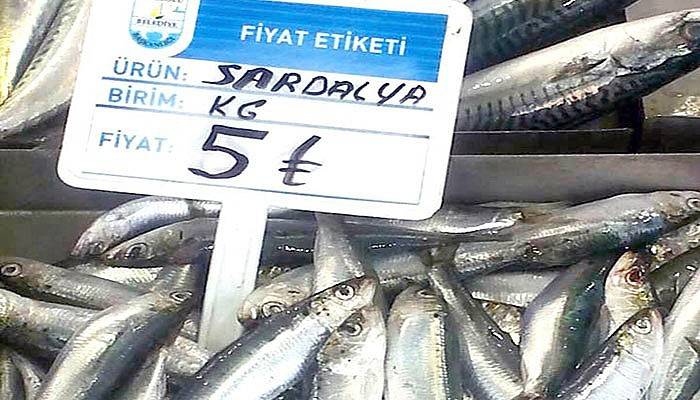 Gelibolu'da 5 TL'ye sardalya