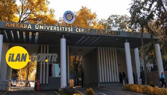 119 SÖZLEŞMELİ PERSONEL ALINACAK