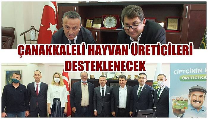 Bu proje ile Çanakkaleli hayvan üreticileri desteklenecek