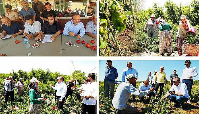 Hasarın bilançosu rakamlarla açıklandı