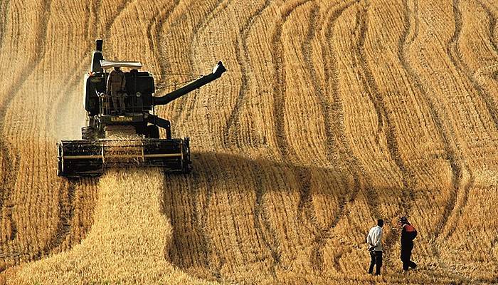 ÇKS kaydında son tarih 30 Haziran